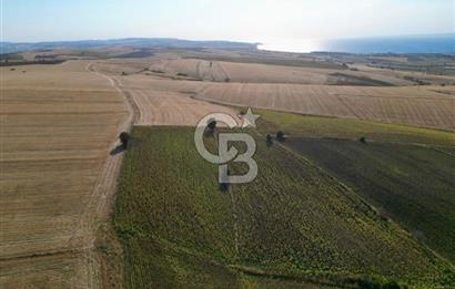 GELİBOLU BOLAYIR 9245 M2 SATILIK YATIRIMLIK HESAPLI TARLA