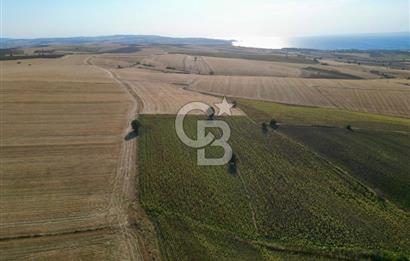 GELİBOLU BOLAYIR 9245 M2 SATILIK YATIRIMLIK HESAPLI TARLA