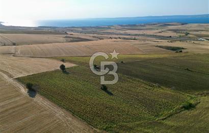 GELİBOLU BOLAYIR 9245 M2 SATILIK YATIRIMLIK HESAPLI TARLA