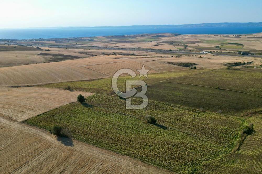 GELİBOLU BOLAYIR 9245 M2 SATILIK YATIRIMLIK HESAPLI TARLA