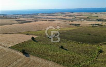 GELİBOLU BOLAYIR 9245 M2 SATILIK YATIRIMLIK HESAPLI TARLA