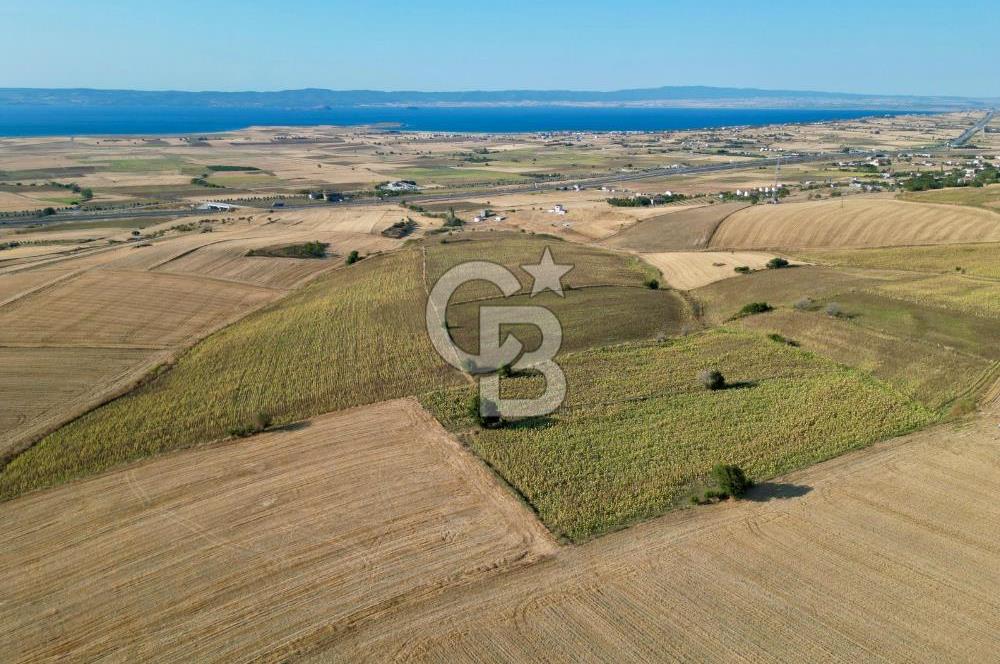 GELİBOLU BOLAYIR 9245 M2 SATILIK YATIRIMLIK HESAPLI TARLA