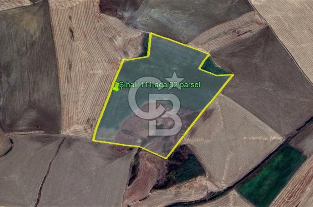 ANKARA POLATLI ŞIHALİ MAHALLESİNDE SATILIK 70 DÖNÜM TARLA