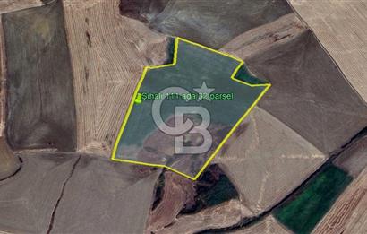 ANKARA POLATLI ŞIHALİ MAHALLESİNDE SATILIK 70 DÖNÜM TARLA