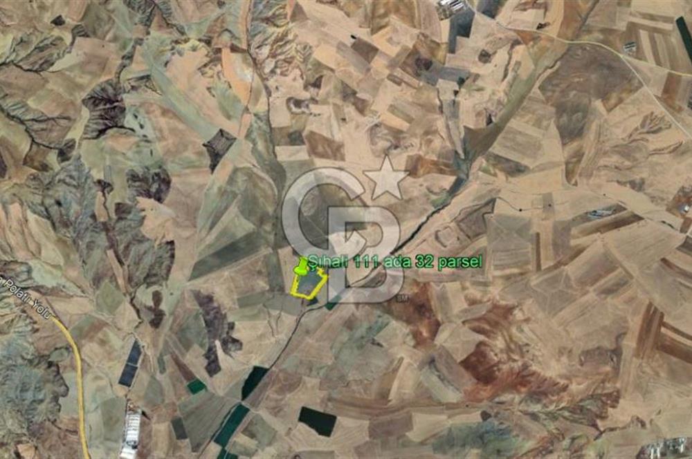 ANKARA POLATLI ŞIHALİ MAHALLESİNDE SATILIK 70 DÖNÜM TARLA