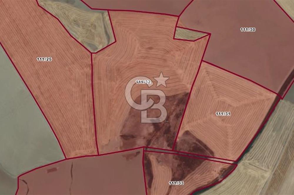 ANKARA POLATLI ŞIHALİ MAHALLESİNDE SATILIK 70 DÖNÜM TARLA