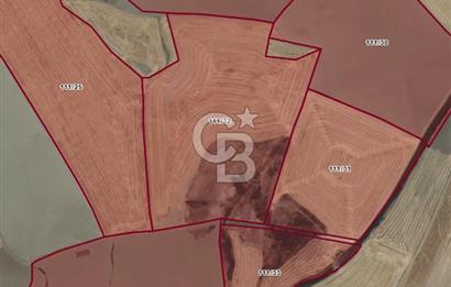 ANKARA POLATLI ŞIHALİ MAHALLESİNDE SATILIK 70 DÖNÜM TARLA