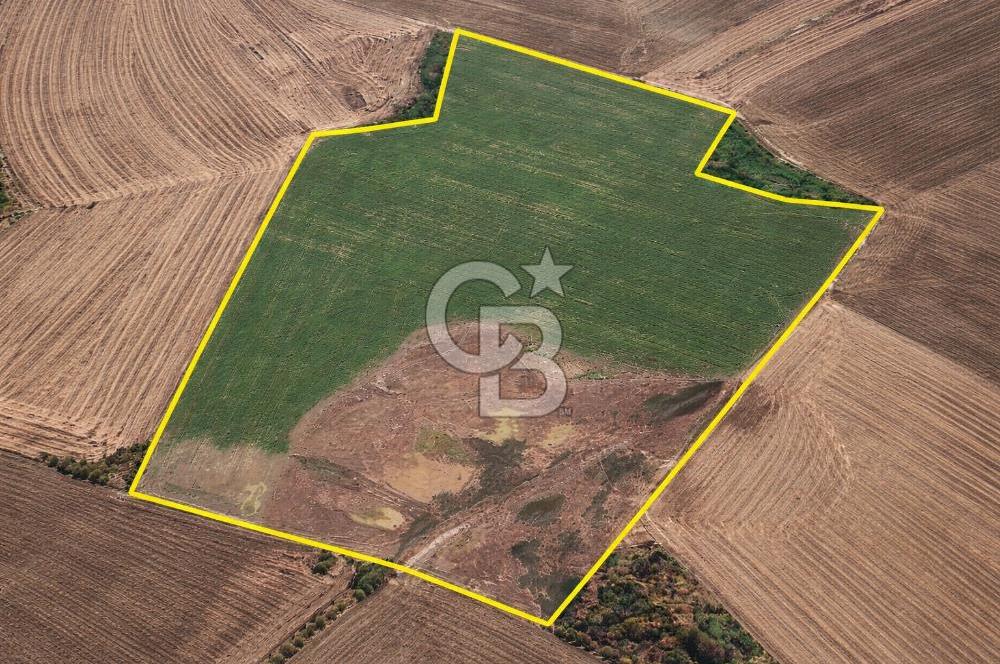 ANKARA POLATLI ŞIHALİ MAHALLESİNDE SATILIK 70 DÖNÜM TARLA