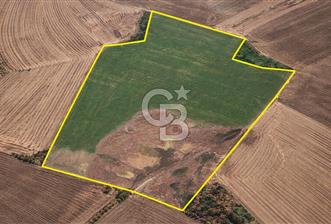 ANKARA POLATLI ŞIHALİ MAHALLESİNDE SATILIK 70 DÖNÜM TARLA - 1 - 339801