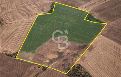 ANKARA POLATLI ŞIHALİ MAHALLESİNDE SATILIK 70 DÖNÜM TARLA