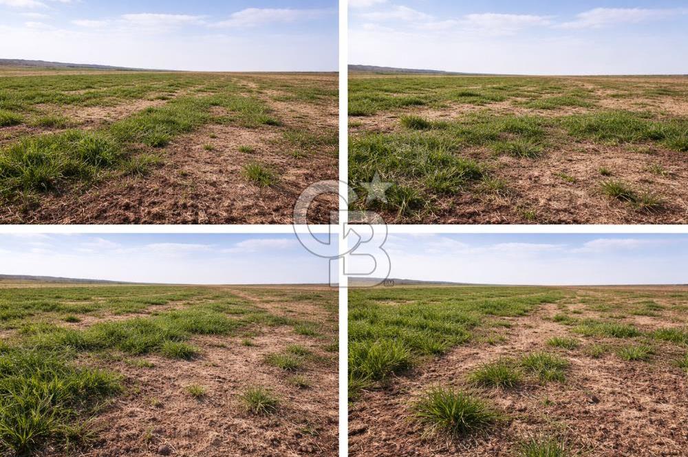 ANKARA POLATLI ŞIHALİ MAHALLESİNDE SATILIK 70 DÖNÜM TARLA