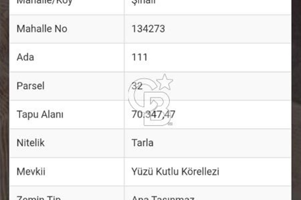ANKARA POLATLI ŞIHALİ MAHALLESİNDE SATILIK 70 DÖNÜM TARLA