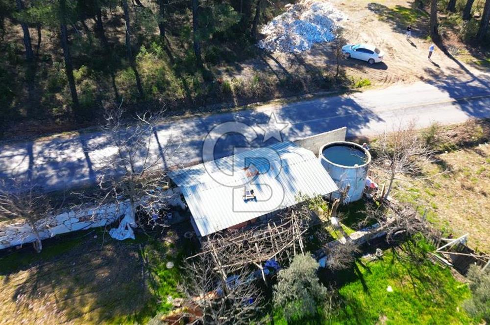 YATAĞAN ŞEREF'TE SATILIK HOBİ BAHÇESİ - ZEYTİNLİ TARLA