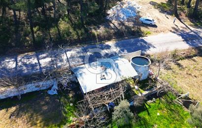 YATAĞAN ŞEREF'TE SATILIK HOBİ BAHÇESİ - ZEYTİNLİ TARLA