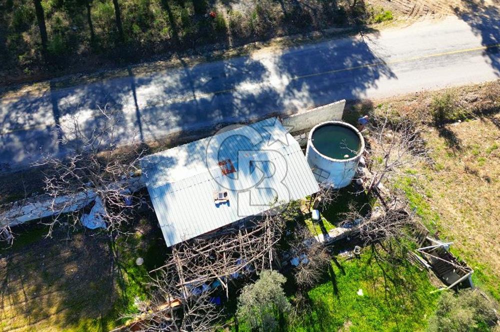 YATAĞAN ŞEREF'TE SATILIK HOBİ BAHÇESİ - ZEYTİNLİ TARLA