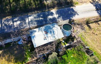 YATAĞAN ŞEREF'TE SATILIK HOBİ BAHÇESİ - ZEYTİNLİ TARLA