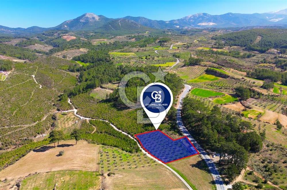 YATAĞAN ŞEREF'TE SATILIK HOBİ BAHÇESİ - ZEYTİNLİ TARLA