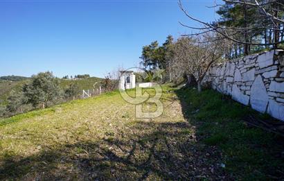 YATAĞAN ŞEREF'TE SATILIK HOBİ BAHÇESİ - ZEYTİNLİ TARLA