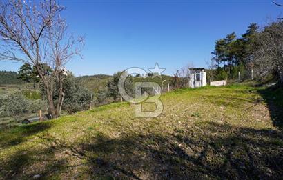 YATAĞAN ŞEREF'TE SATILIK HOBİ BAHÇESİ - ZEYTİNLİ TARLA