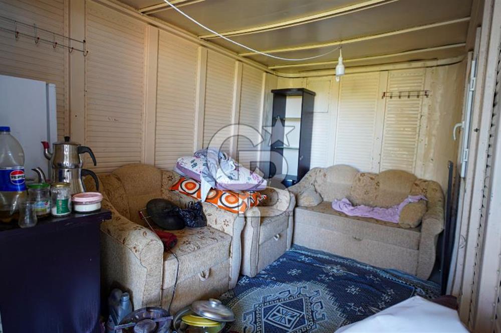 YATAĞAN ŞEREF'TE SATILIK HOBİ BAHÇESİ - ZEYTİNLİ TARLA