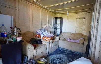 YATAĞAN ŞEREF'TE SATILIK HOBİ BAHÇESİ - ZEYTİNLİ TARLA