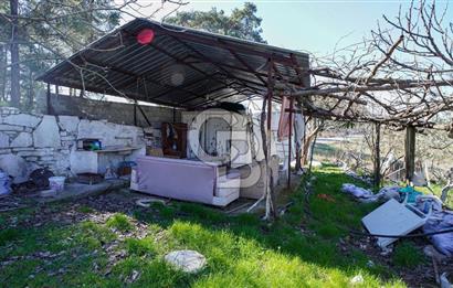 YATAĞAN ŞEREF'TE SATILIK HOBİ BAHÇESİ - ZEYTİNLİ TARLA