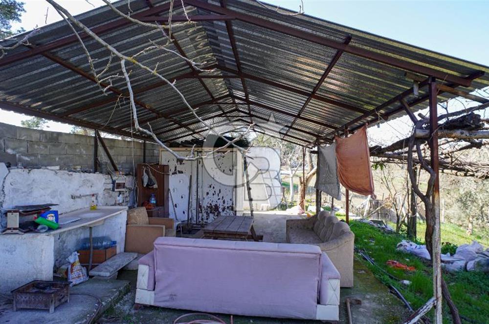 YATAĞAN ŞEREF'TE SATILIK HOBİ BAHÇESİ - ZEYTİNLİ TARLA