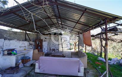 YATAĞAN ŞEREF'TE SATILIK HOBİ BAHÇESİ - ZEYTİNLİ TARLA