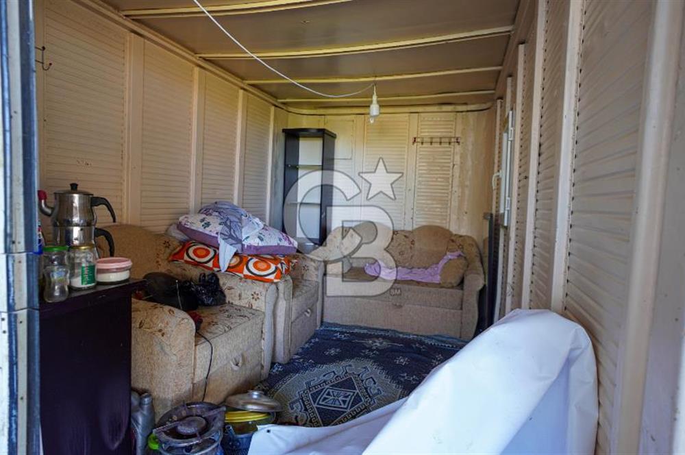 YATAĞAN ŞEREF'TE SATILIK HOBİ BAHÇESİ - ZEYTİNLİ TARLA