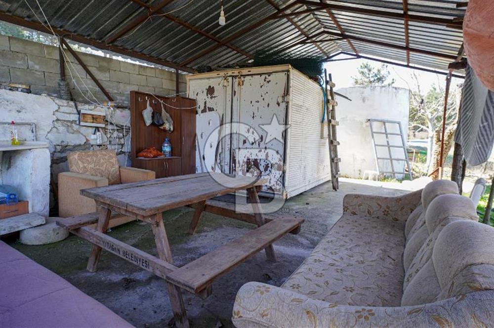 YATAĞAN ŞEREF'TE SATILIK HOBİ BAHÇESİ - ZEYTİNLİ TARLA