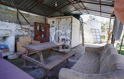 YATAĞAN ŞEREF'TE SATILIK HOBİ BAHÇESİ - ZEYTİNLİ TARLA