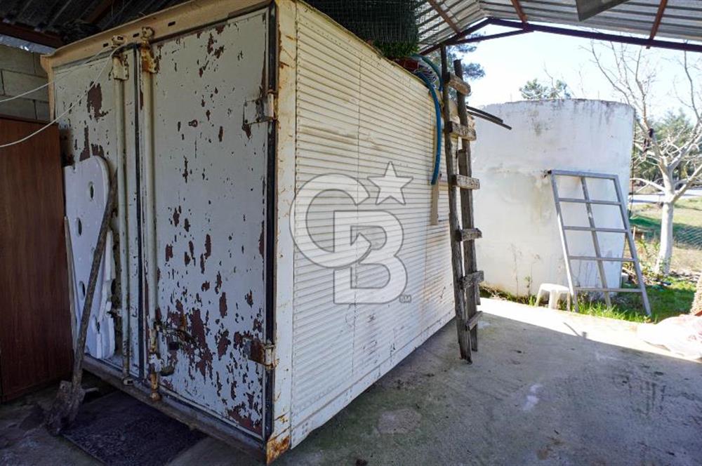 YATAĞAN ŞEREF'TE SATILIK HOBİ BAHÇESİ - ZEYTİNLİ TARLA