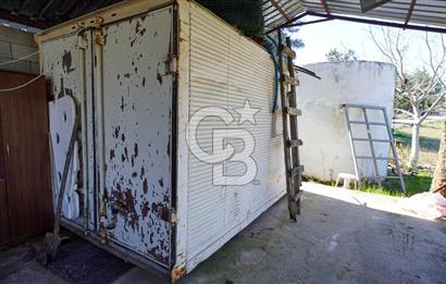 YATAĞAN ŞEREF'TE SATILIK HOBİ BAHÇESİ - ZEYTİNLİ TARLA