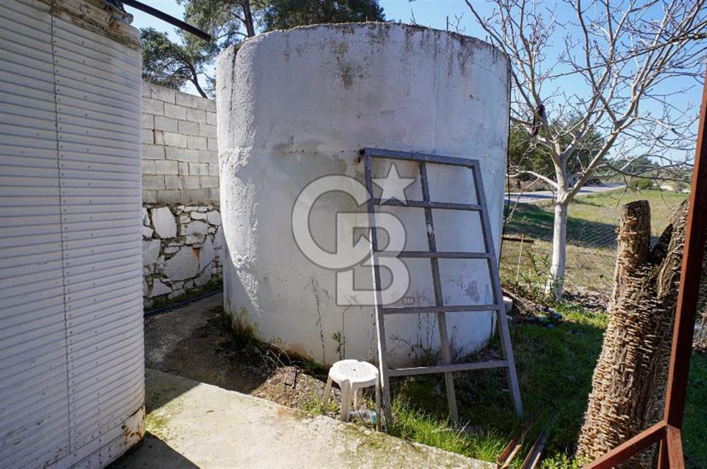 YATAĞAN ŞEREF'TE SATILIK HOBİ BAHÇESİ - ZEYTİNLİ TARLA