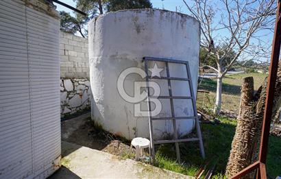 YATAĞAN ŞEREF'TE SATILIK HOBİ BAHÇESİ - ZEYTİNLİ TARLA