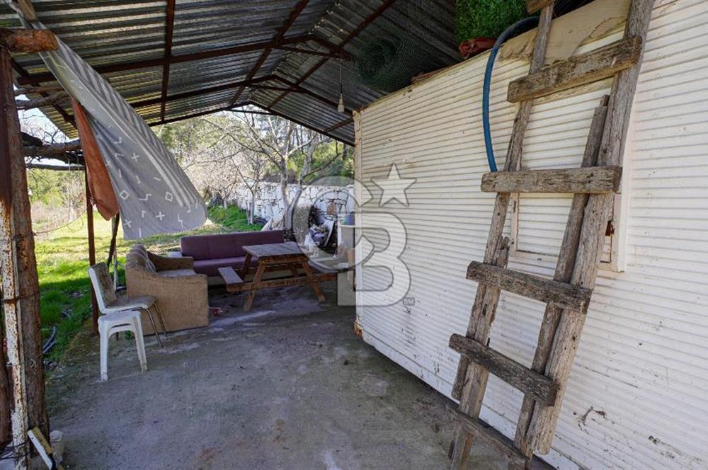 YATAĞAN ŞEREF'TE SATILIK HOBİ BAHÇESİ - ZEYTİNLİ TARLA