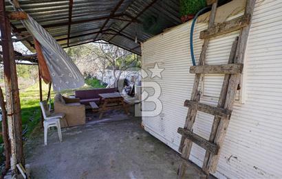 YATAĞAN ŞEREF'TE SATILIK HOBİ BAHÇESİ - ZEYTİNLİ TARLA