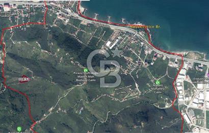 Piraziz Maden Mah. 6920 m² Deniz Manzaralı Satılık Fındık Bahçesi