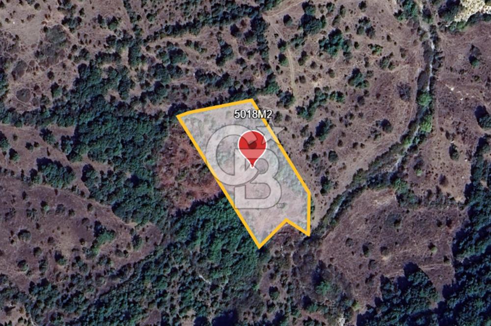 ÇANAKKALE DEMİRCİ KÖYÜNDE SATILIK KAZ DAĞLARINDA 5018M2 TARLA