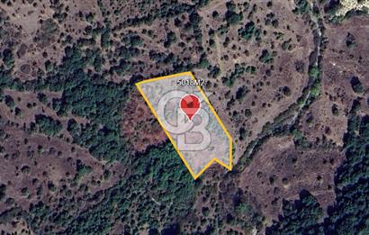 ÇANAKKALE DEMİRCİ KÖYÜNDE SATILIK KAZ DAĞLARINDA 5018M2 TARLA