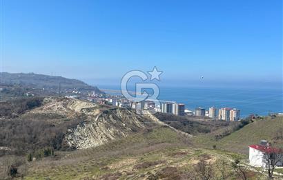 Piraziz Maden Mah. 12.261 m² Deniz Manzaralı Satılık Fındık Bahçesi (Merkeze 2 km)