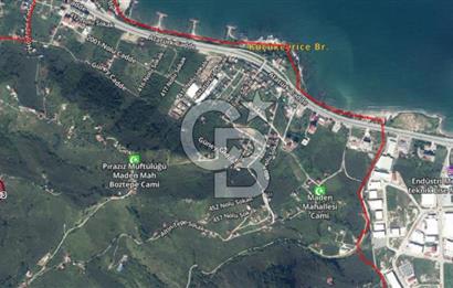 Piraziz Maden Mah. 12.261 m² Deniz Manzaralı Satılık Fındık Bahçesi (Merkeze 2 km)