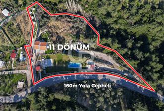 BUCA KAYNAKLAR BELENBAŞIN’DA İÇERİSİNDE RUHSATLI IŞLATME BULUNAN SATILIK 11 Dönüm TARLA  - 1 - 339879