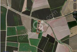 Ceyhan Sirkeli'de Yola ve Suya Cepheli 13 Dönüm Tarla - 4 - 339839