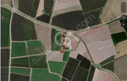 Ceyhan Sirkeli'de Yola ve Suya Cepheli 13 Dönüm Tarla