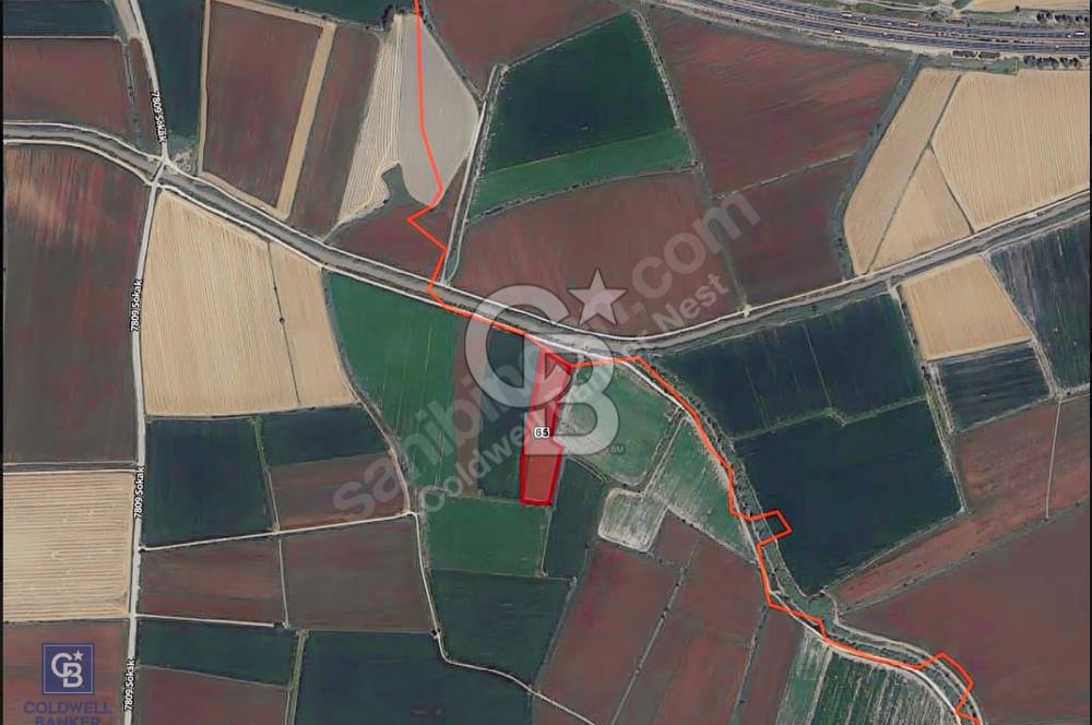 Ceyhan Sirkeli'de Yola ve Suya Cepheli 13 Dönüm Tarla