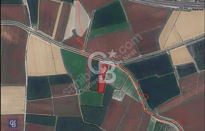 Ceyhan Sirkeli'de Yola ve Suya Cepheli 13 Dönüm Tarla