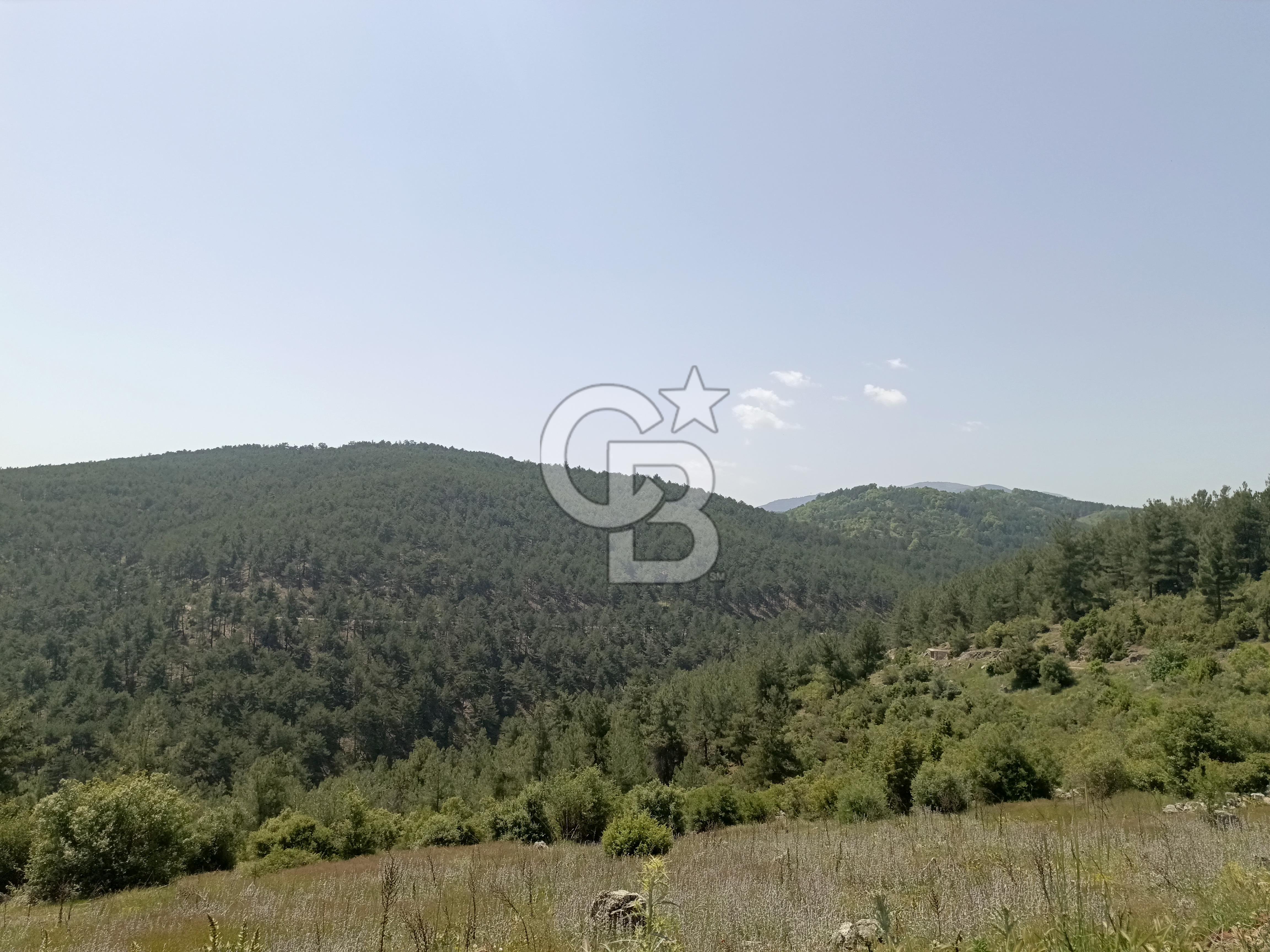 BURSA'DA 12.000 m2 MARJİNAL TARİM ARAZİSİ