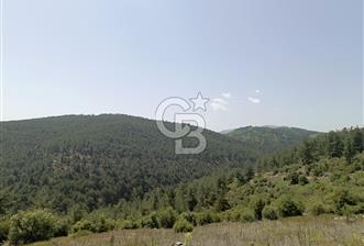 BURSA'DA 12.000 m2 MARJİNAL TARİM ARAZİSİ - 1 - 339890