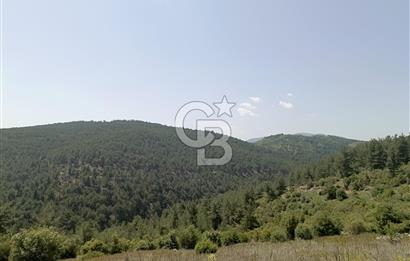 BURSA'DA 12.000 m2 MARJİNAL TARİM ARAZİSİ